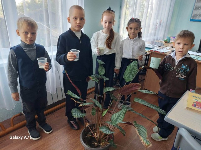 «Один полезный день для школы»