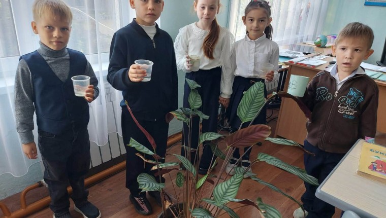 «Один полезный день для школы»