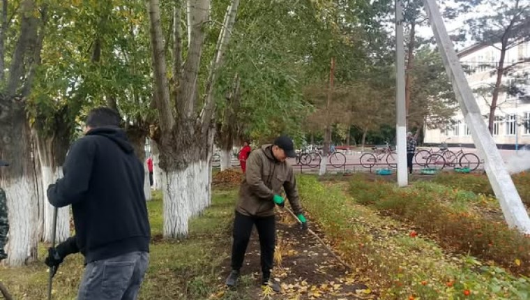 «World Cleanup Day»